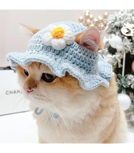 Amazon.co.jp: カネコアヤノ キャップ 帽子 野音 猫 ねこ刺繍キャップ